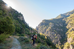 Immersion Break Nature