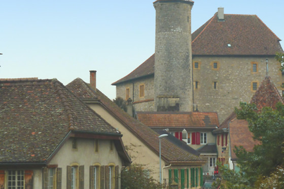 Domaine du Pampre - photo 3