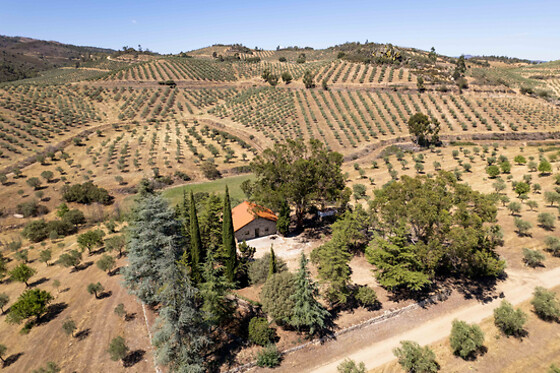 QUINTA DO PRADO - ACUSHLA - photo 5