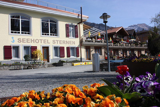 Seehotel Sternen Brienz - photo 12