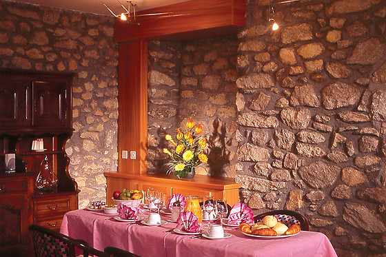 Hôtel du Pigne - photo 2