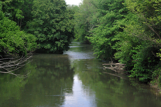 CANOËS DU RIED - photo 3