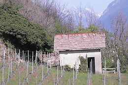 Cave Boléro