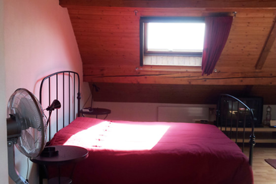 BnB Bursins - photo 4
