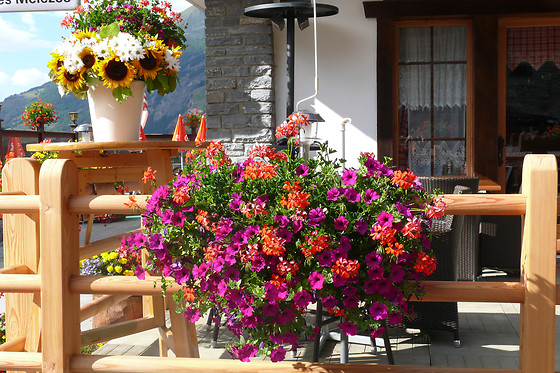 Hôtel Restaurant Les Mélèzes - photo 10