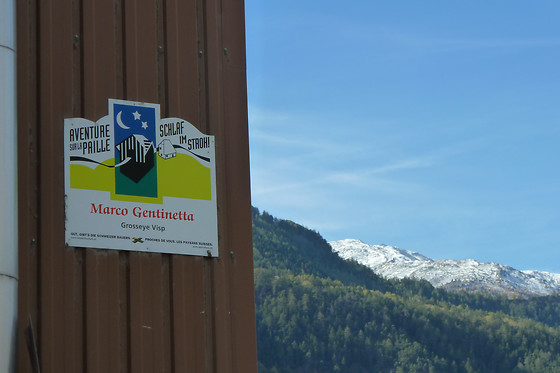 Zucht- und Reitstall Gentinetta - photo 24