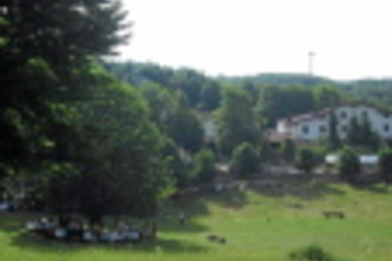 Albergo Rifugio del Cinghiale - photo 8
