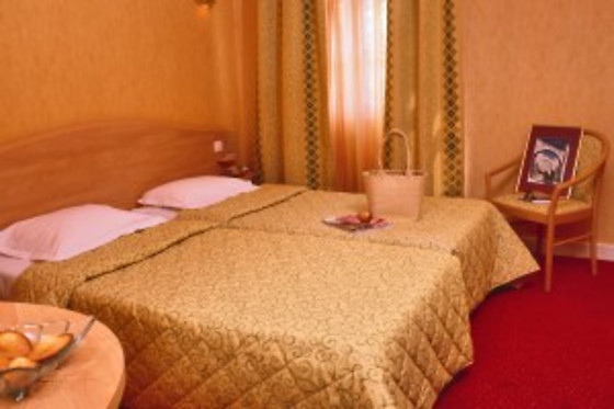 Best Western Hôtel Pont d'Or - photo 7