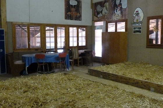 Zucht- und Reitstall Gentinetta - photo 6