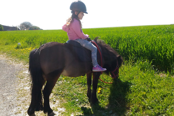 Ecuries Du Grand Chemin - photo 3