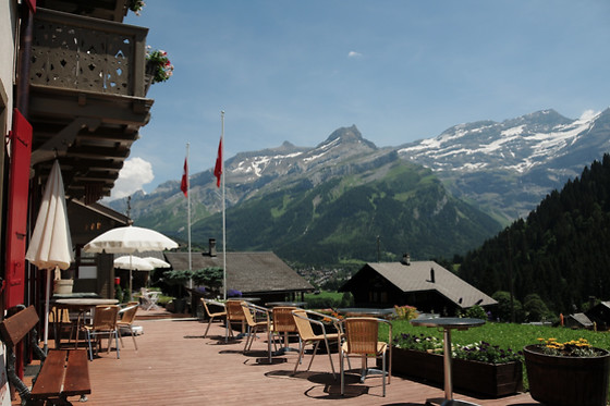 Swiss Historic Hotel du Pillon - photo 5