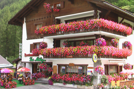 Hôtel Restaurant Les Mélèzes - photo 11