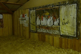 Zucht- und Reitstall Gentinetta