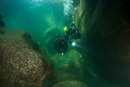 Deep Turtle