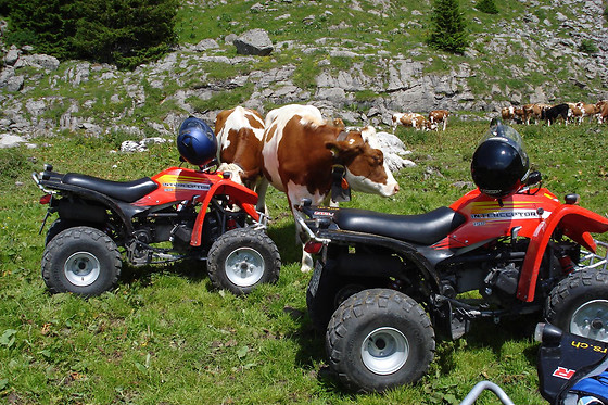 QUADTOUREN BERNER OBERLAND - photo 6