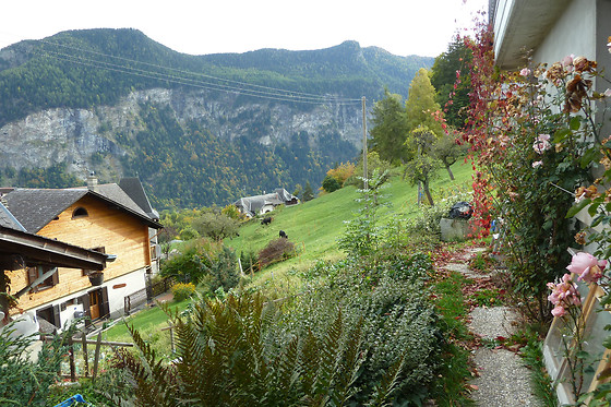 Chez Letchoum - photo 4