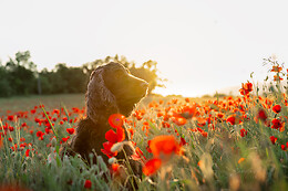 Camille H. Photographie