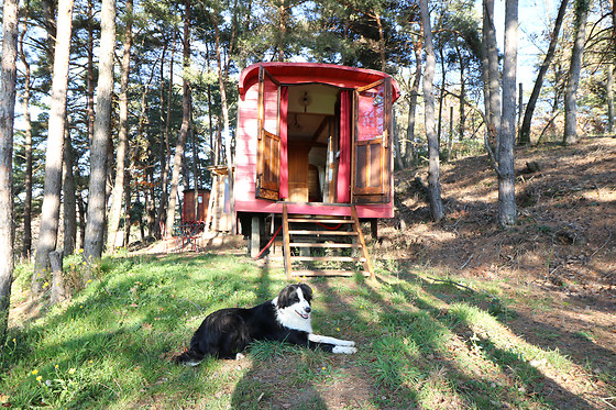 1001 Cornes - photo 13