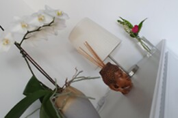 RDS Esthetique