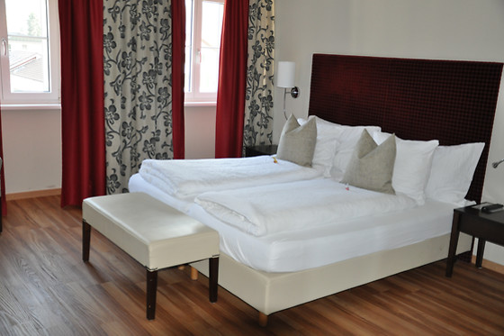 Hotel Krebs - photo 11