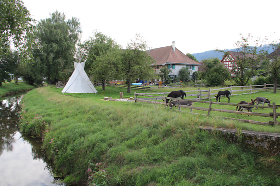 Eselhof Säge - photo 25