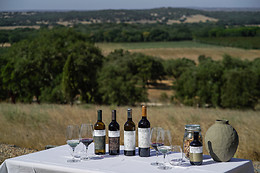 HERDADE DE COELHEIROS