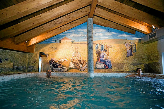 POSADA LOS CONDESTABLES HOTEL & SPA - photo 27