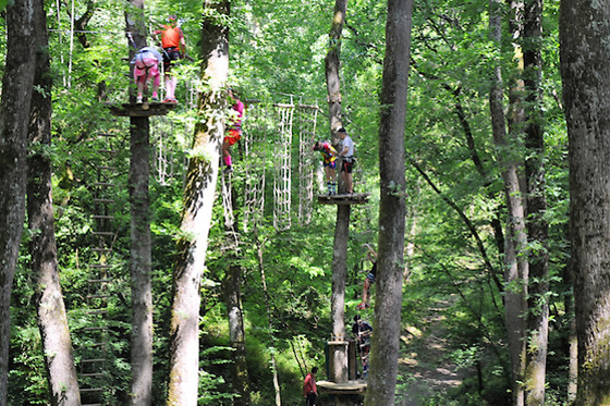 Natura Game - photo 11