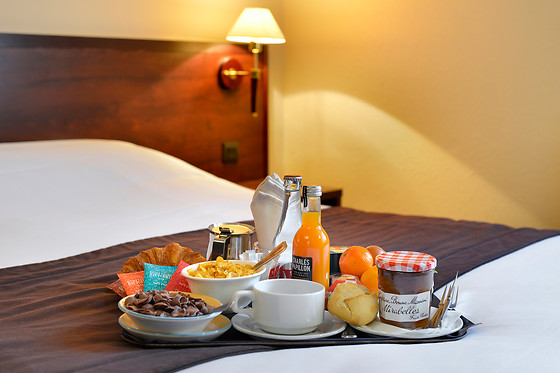 Hôtel Kyriad Orleans Sud - Olivet - photo 3