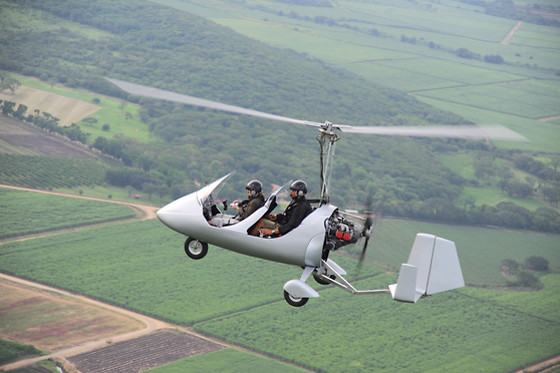 Les Volatiles - photo 9