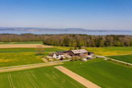 Hof-Tschannen